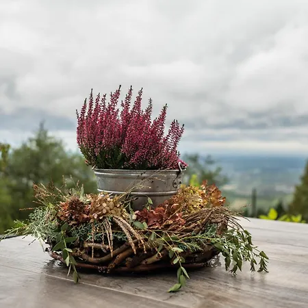 Waldlux Luxus-chalet Brennhus Kappelrodeck